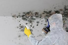 Best Mold Remediation for Healthcare Facilities  in Wilder, ID